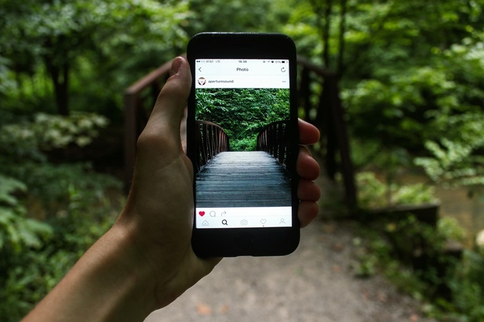hashtags for travelling forest bridge on instagram