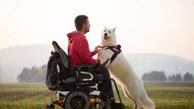 What Disabilities Qualify for a Service