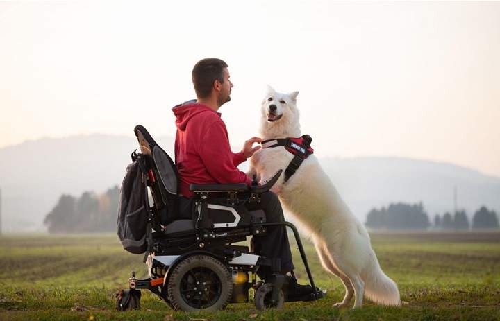 What Disabilities Qualify for a Service