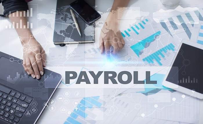 What to Expect from Professional Payroll Services Providers