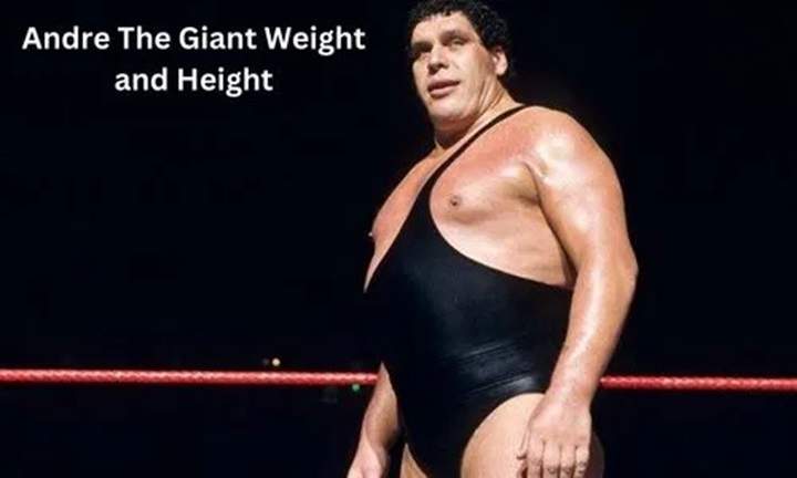 Andre The Giant Weight and Height