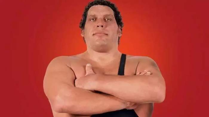 Andre the giant Family