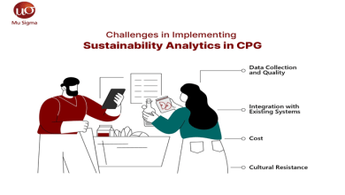 Sustainability Analytics in CPG Approach Challenges1