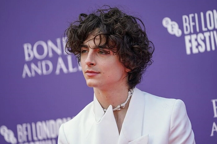 Timothee Chalamets Net Worth Overview