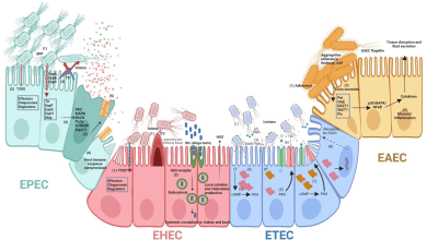 microorganisms 11 00344 g001