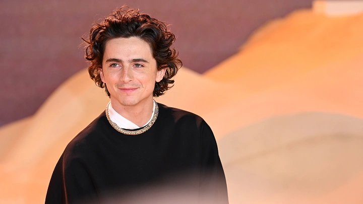 timothee chalamet net worth