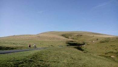 pilgrims walking on a road in a green grass field during the Camino de Santiago