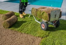 How Sod Installation Enhances Your Lawns Curb Appeal Huntington Beach CA