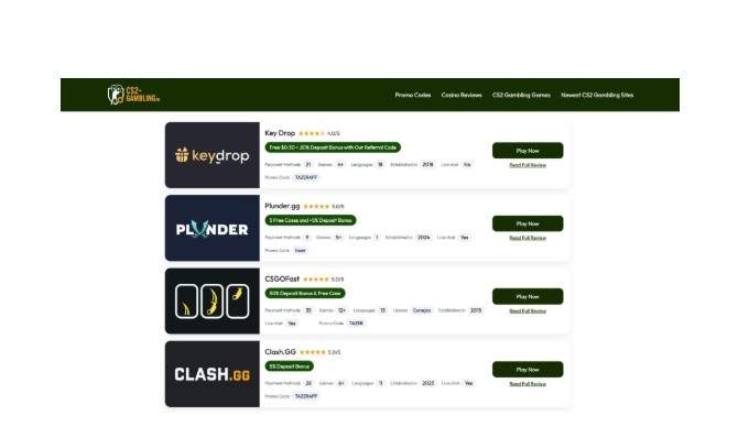 different platforms work and what to consider before choosing one