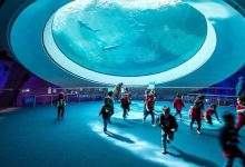 The Ultimate Guide to Plan the Perfect Group Trip for Kids in Miami