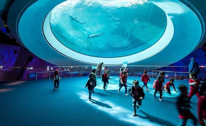 The Ultimate Guide to Plan the Perfect Group Trip for Kids in Miami
