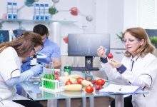 treatment study genetically engineered strawberries laboratory by group scientist test tubes with green solutions 482257 34487