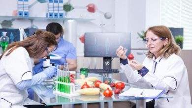 treatment study genetically engineered strawberries laboratory by group scientist test tubes with green solutions 482257 34487