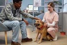 Pet Healthcare Services A Complete Guide for Pet Owners
