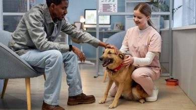 Pet Healthcare Services A Complete Guide for Pet Owners