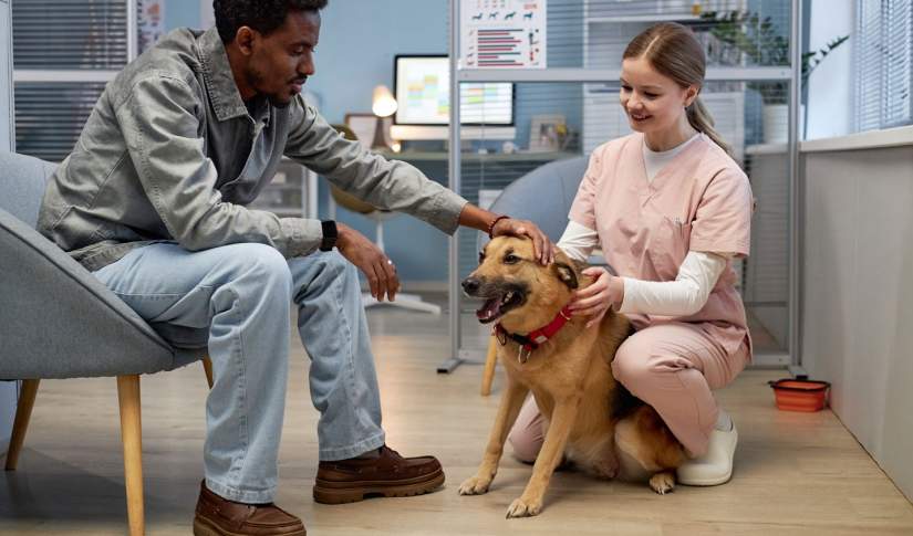 Pet Healthcare Services A Complete Guide for Pet Owners