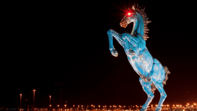 Screenshot 2025 10 10 155246