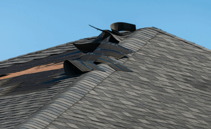 Screenshot 13 3