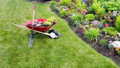 What to Include in Your Spring Yard Clean Up Checklist for Maximum Impact