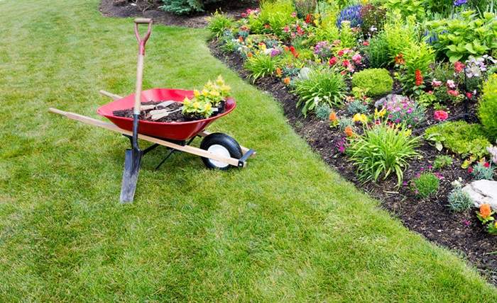What to Include in Your Spring Yard Clean Up Checklist for Maximum Impact