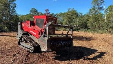 land clearing mulching charlotte property value rise