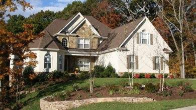 5 Common Landscape Maintenance Mistakes Portland Homeowners Make