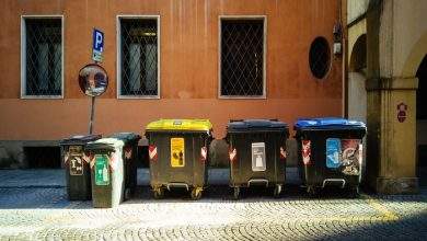 Why Anderson Businesses Benefit from On Demand Dumpster Rentals