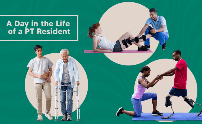 Do Physical Therapy Students