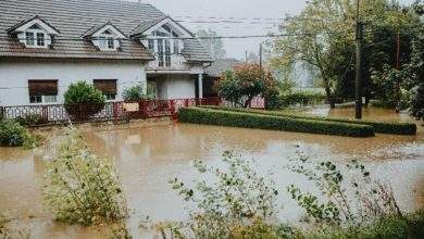 How Emergency Home Services Protect Long Term Property Value