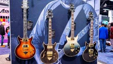 The Growing Popularity of Custom Electric Guitars Among Professionals
