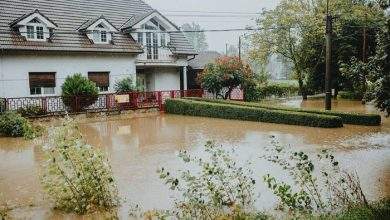 Common Signs of Exterior Home Water Damage